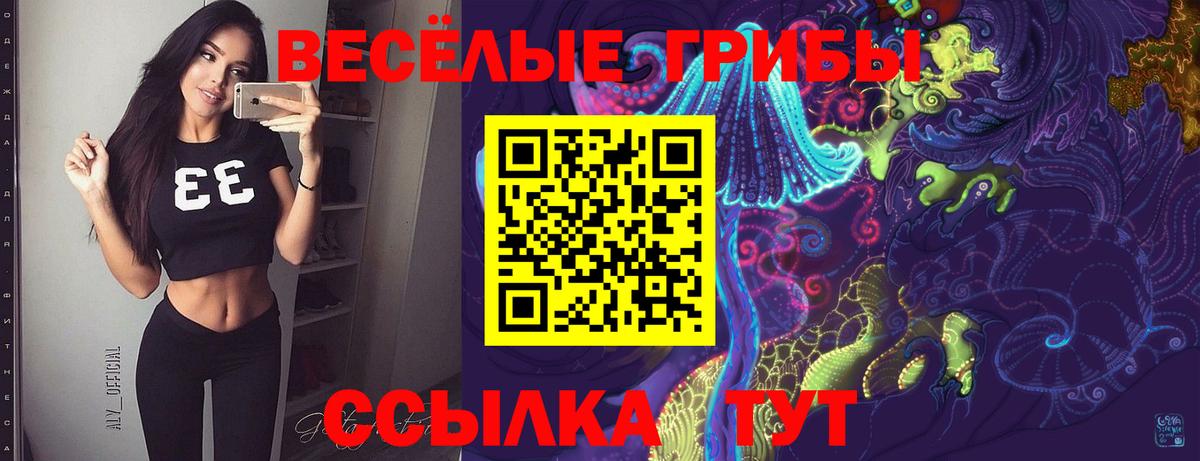 Галлюциногенные грибы прущие грибы Югорск