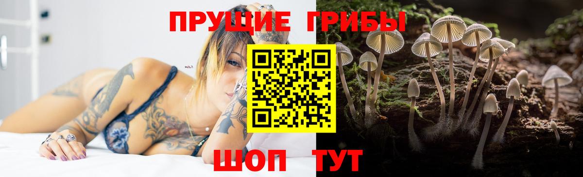 Югорск  даркнет сайт  Вход с VPN  Галлюциногенные грибы прущие грибы  Галлюциногенные грибы прущие грибы 